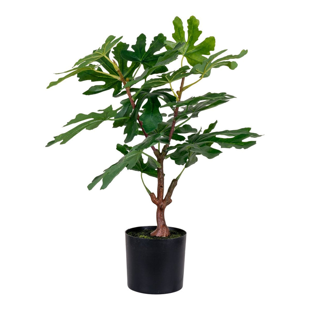 Vijgenboom - Groen, PE-kunststof, H:60 cm