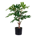 Vijgenboom - Groen, PE-kunststof, H:60 cm