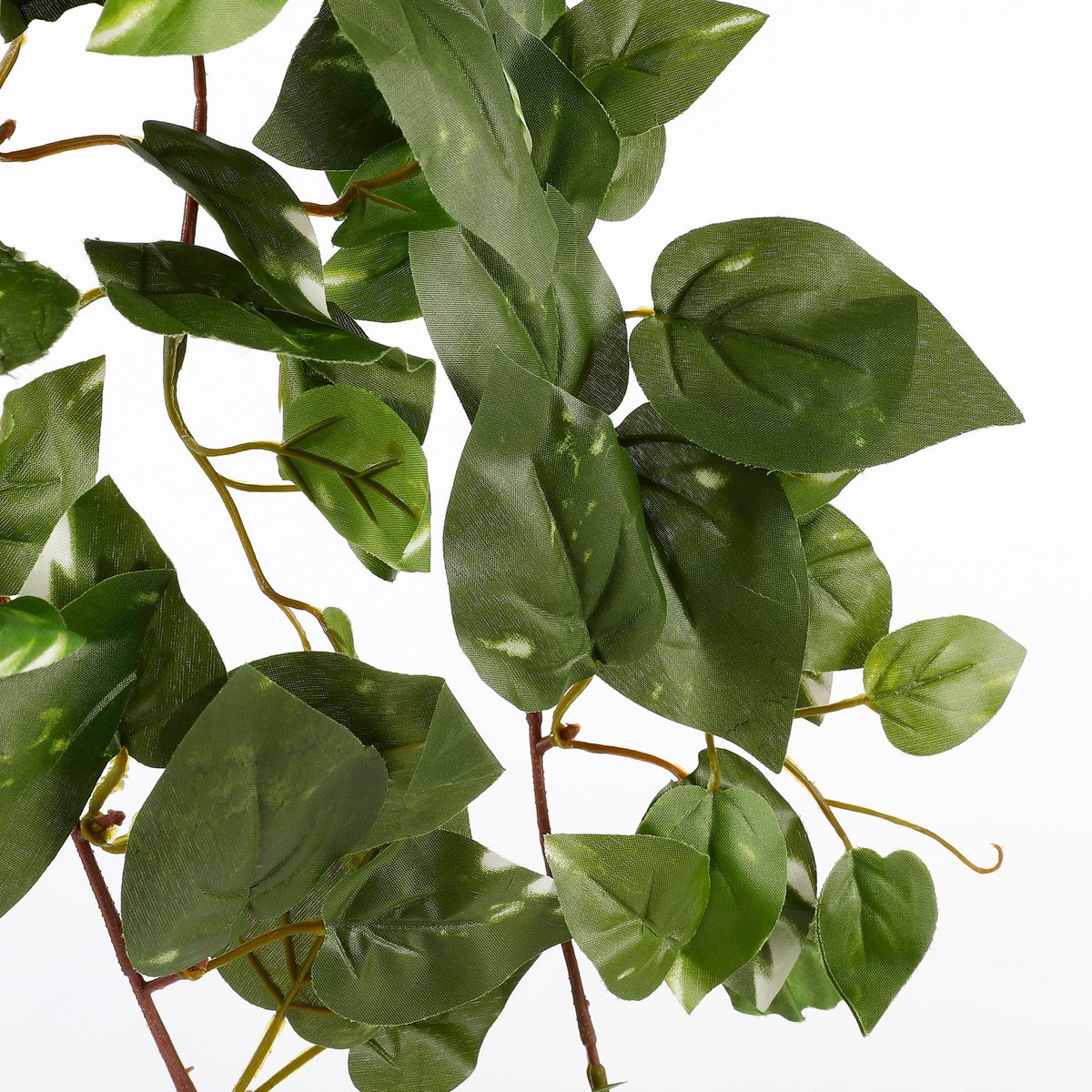 Kunst hangplant Scindapsus hanging Groen