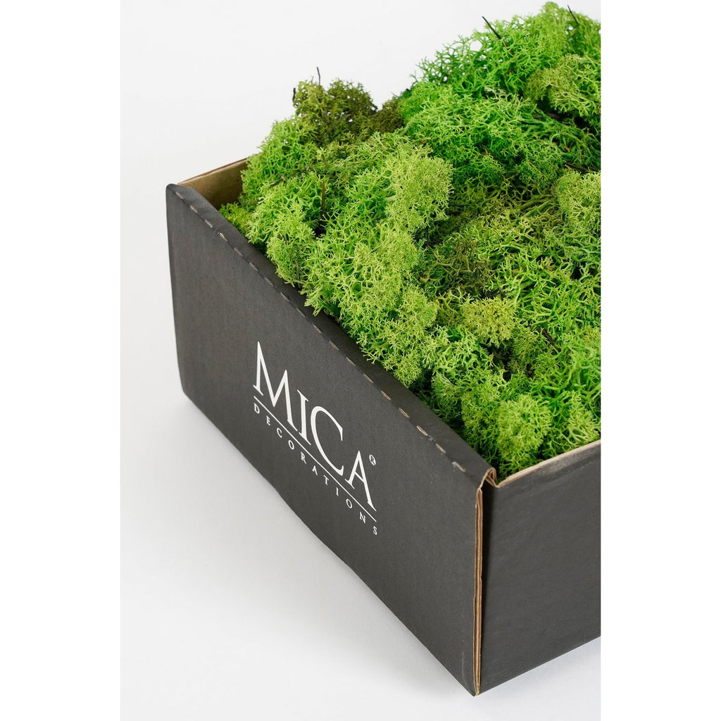 Decoratiemos Mossy Groen