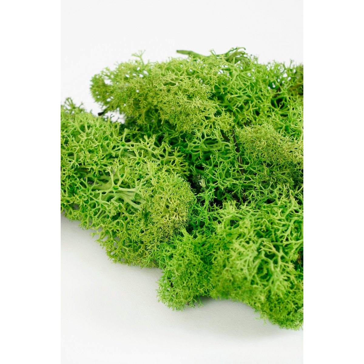 Decoratiemos Mossy Groen