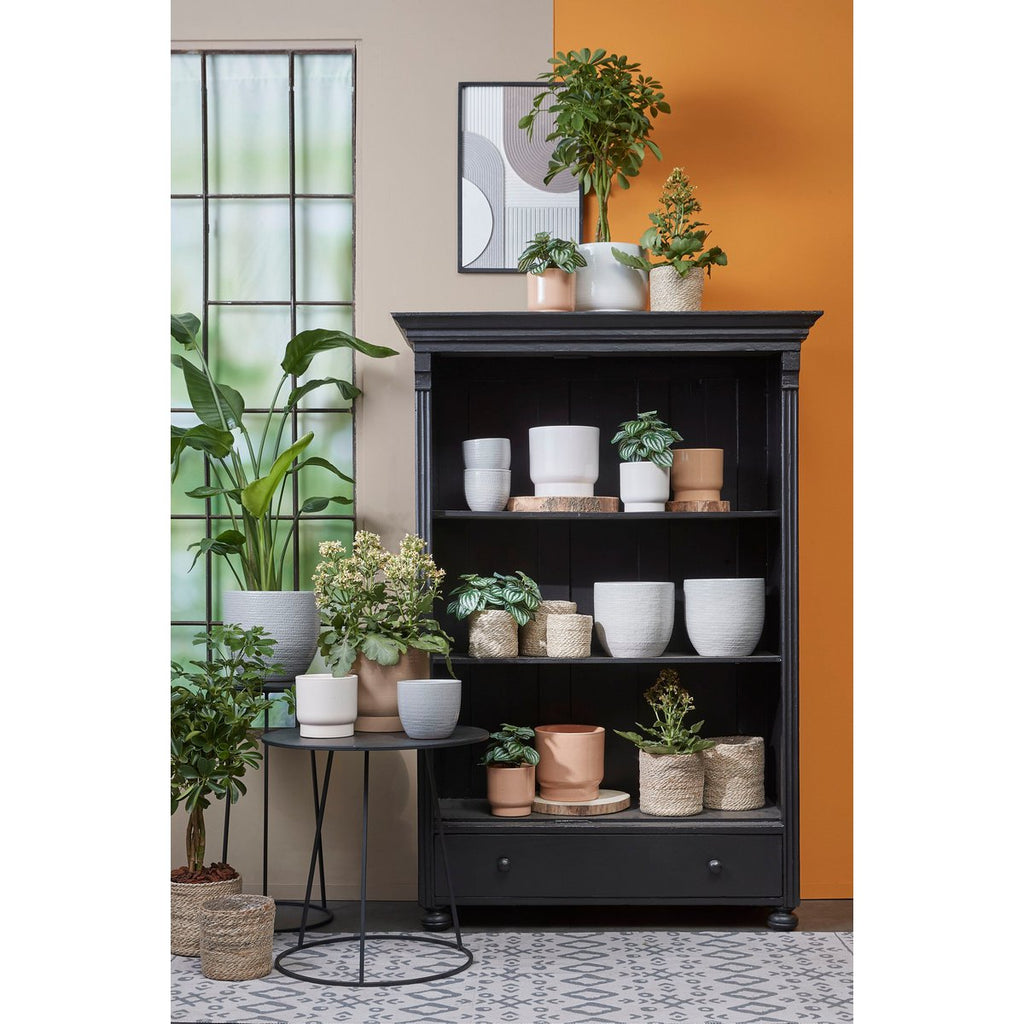 Plantenmand Atlantic Crème