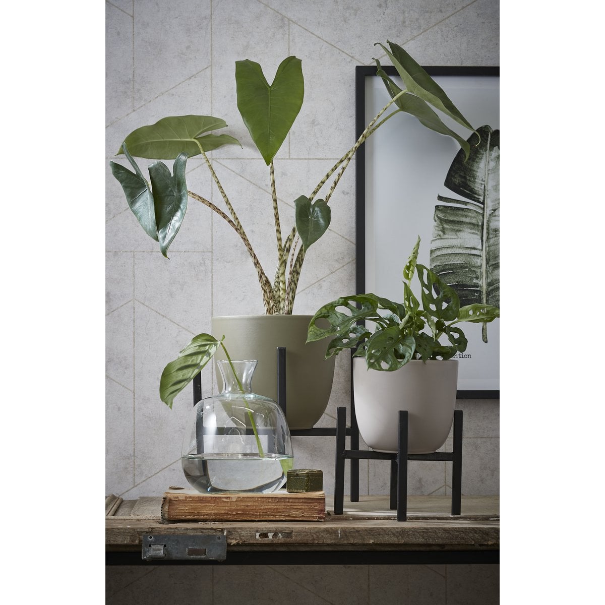 Plantenstandaard Ascot Zwart