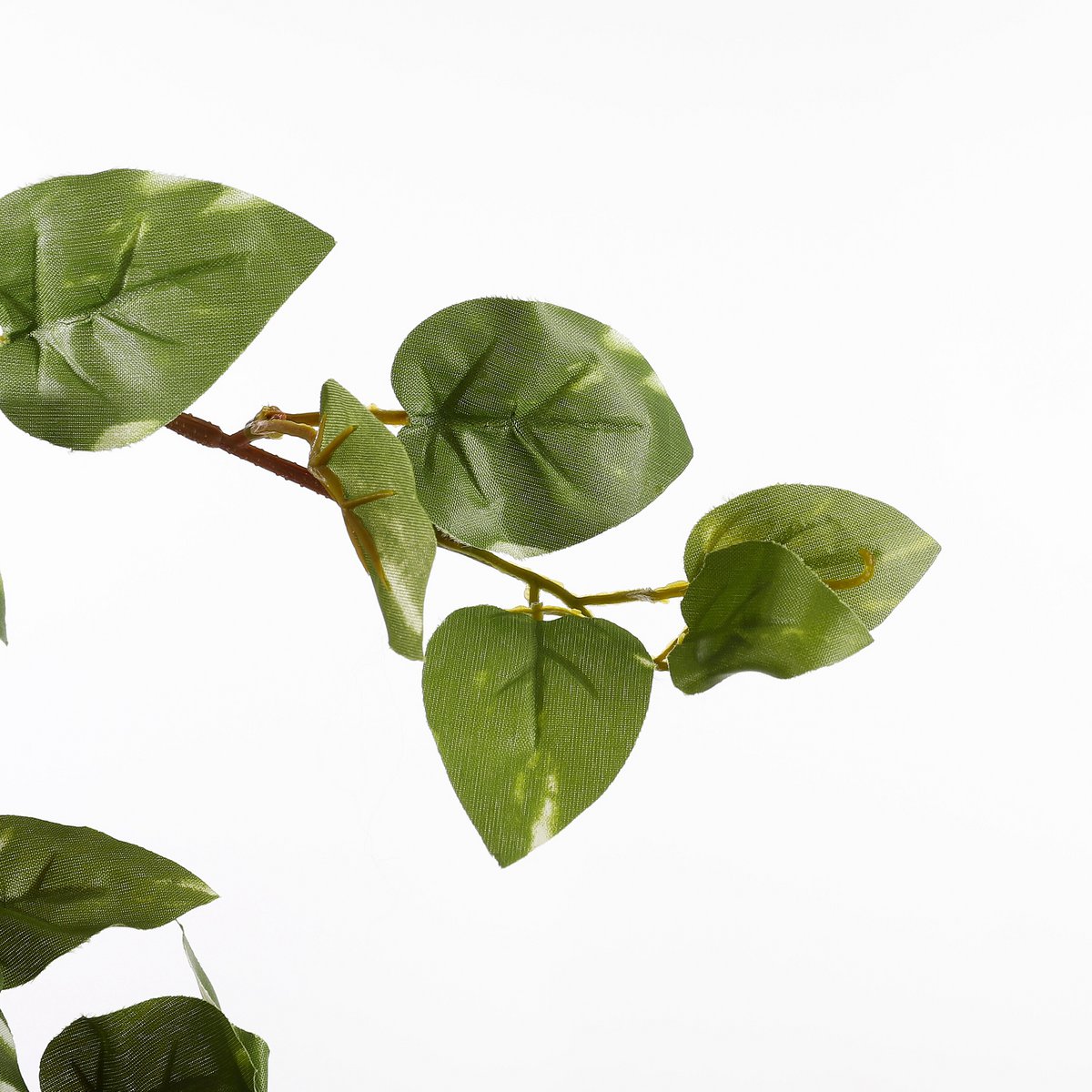 Kunst hangplant Scindapsus hanging Groen