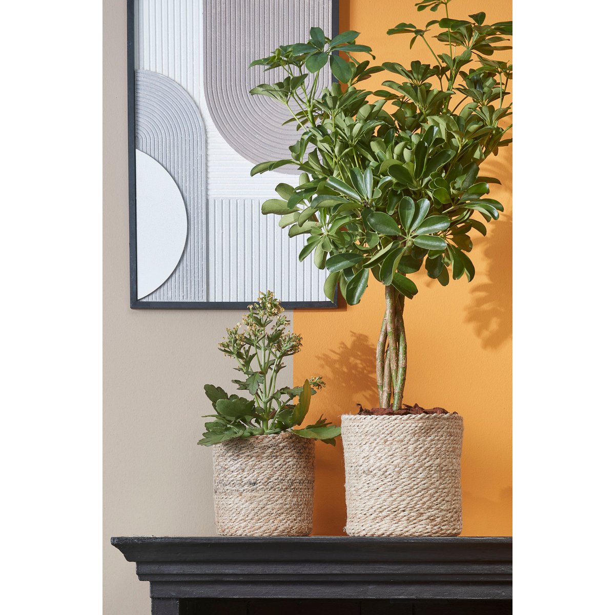 Plantenmand set Atlantic Crème