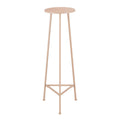 Plantentafel Adine Lichtroze