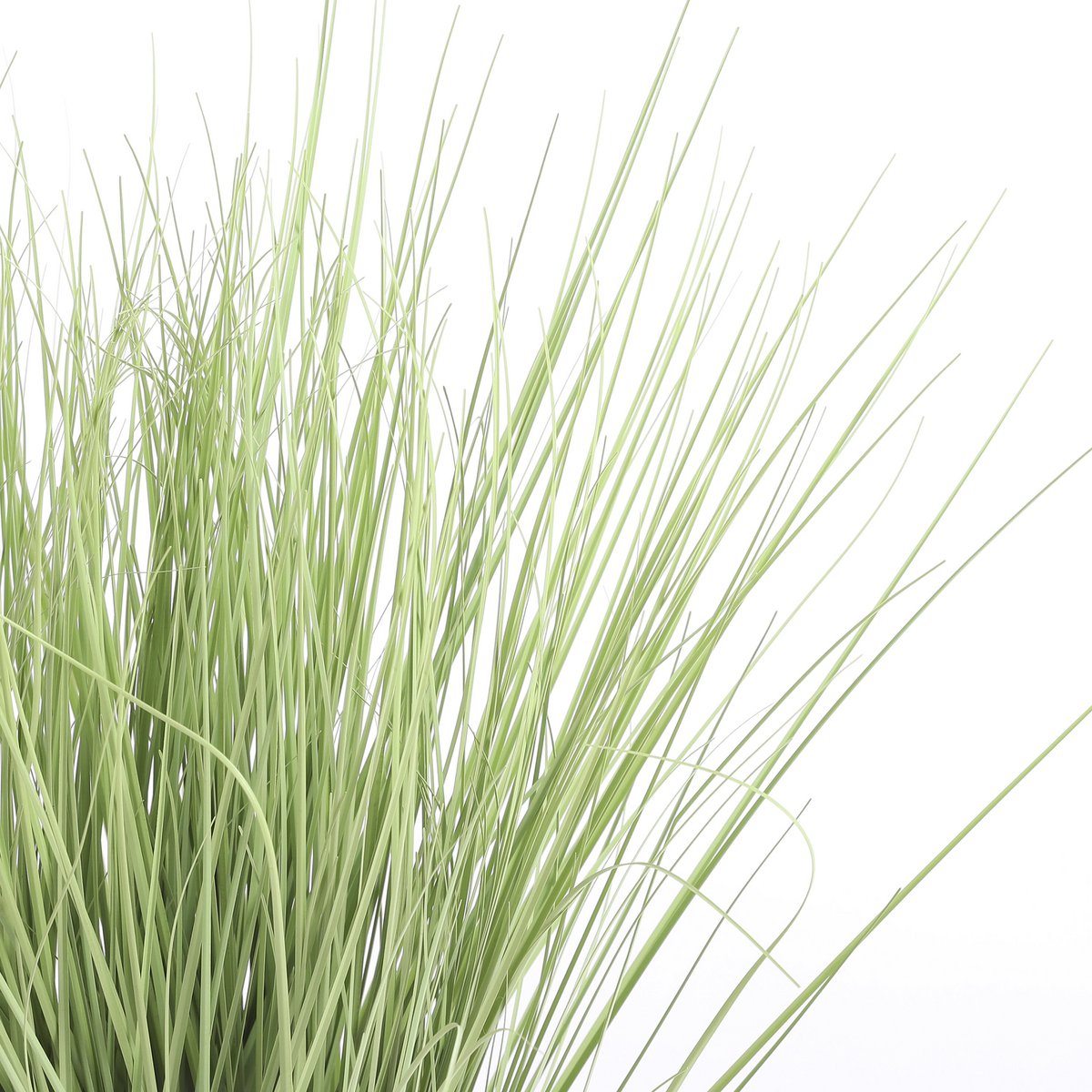 Kunstplant  Groen