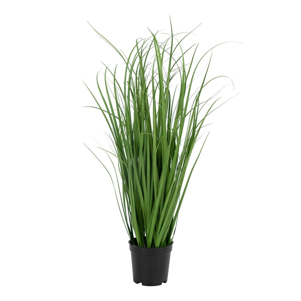 Poa Gras - Groen, PE Kunststof/Polyester, 30x30x68 cm