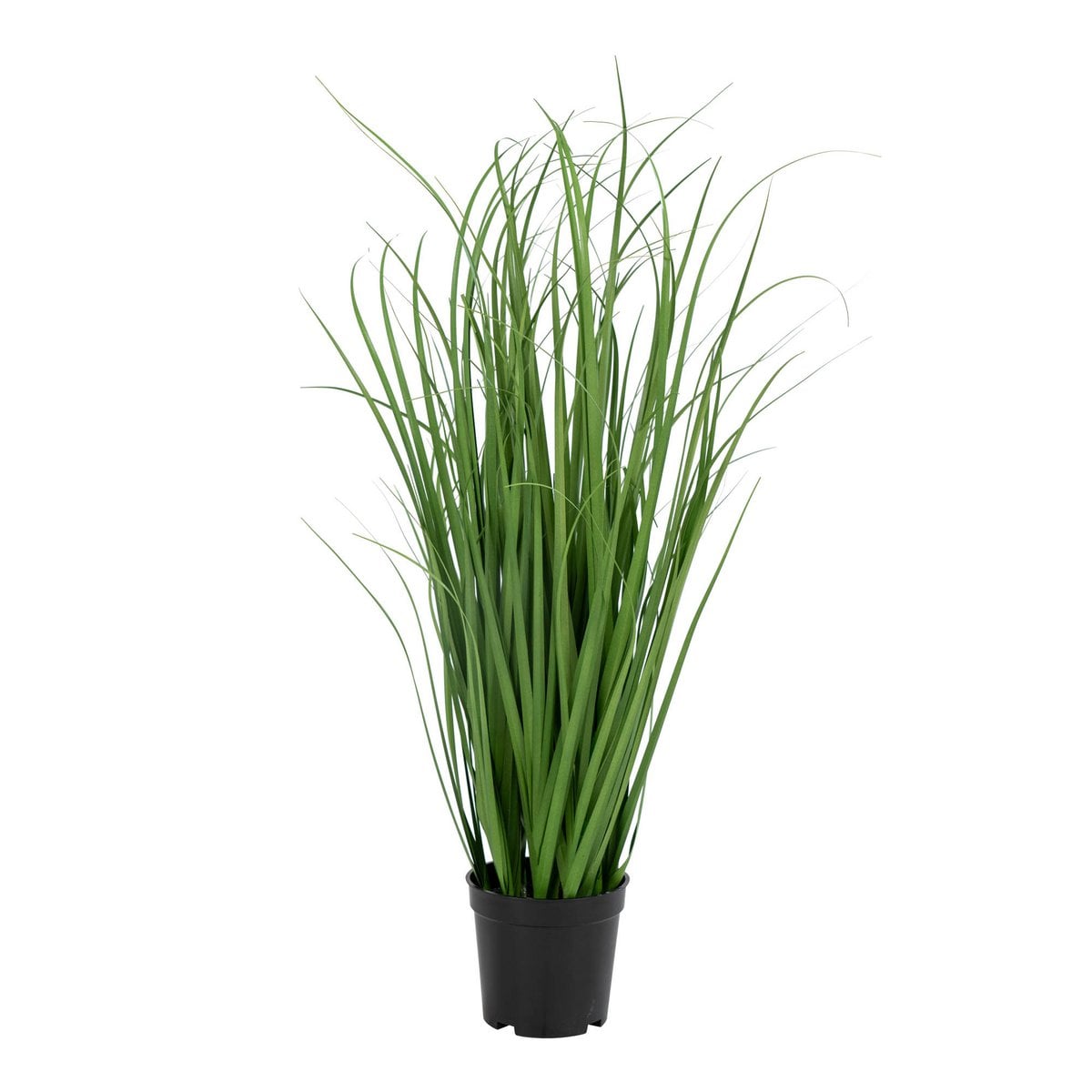 Poa Gras - Groen, PE Kunststof/Polyester, 30x30x68 cm
