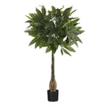 Kunstplant Pachira Groen