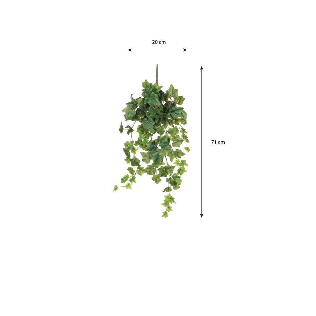 Kunst hangplant Ivy Groen