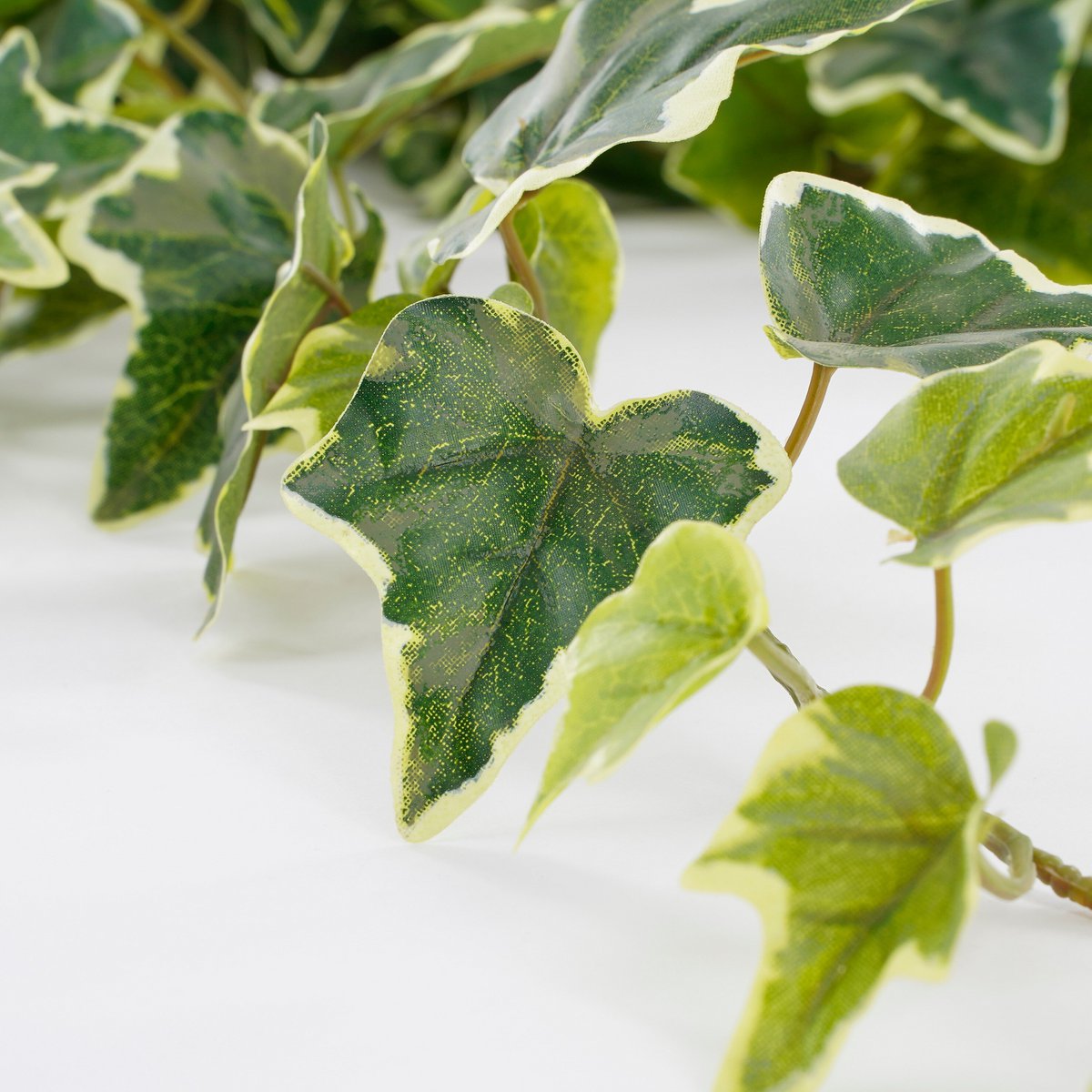 Kunst hangplant Ivy Groen