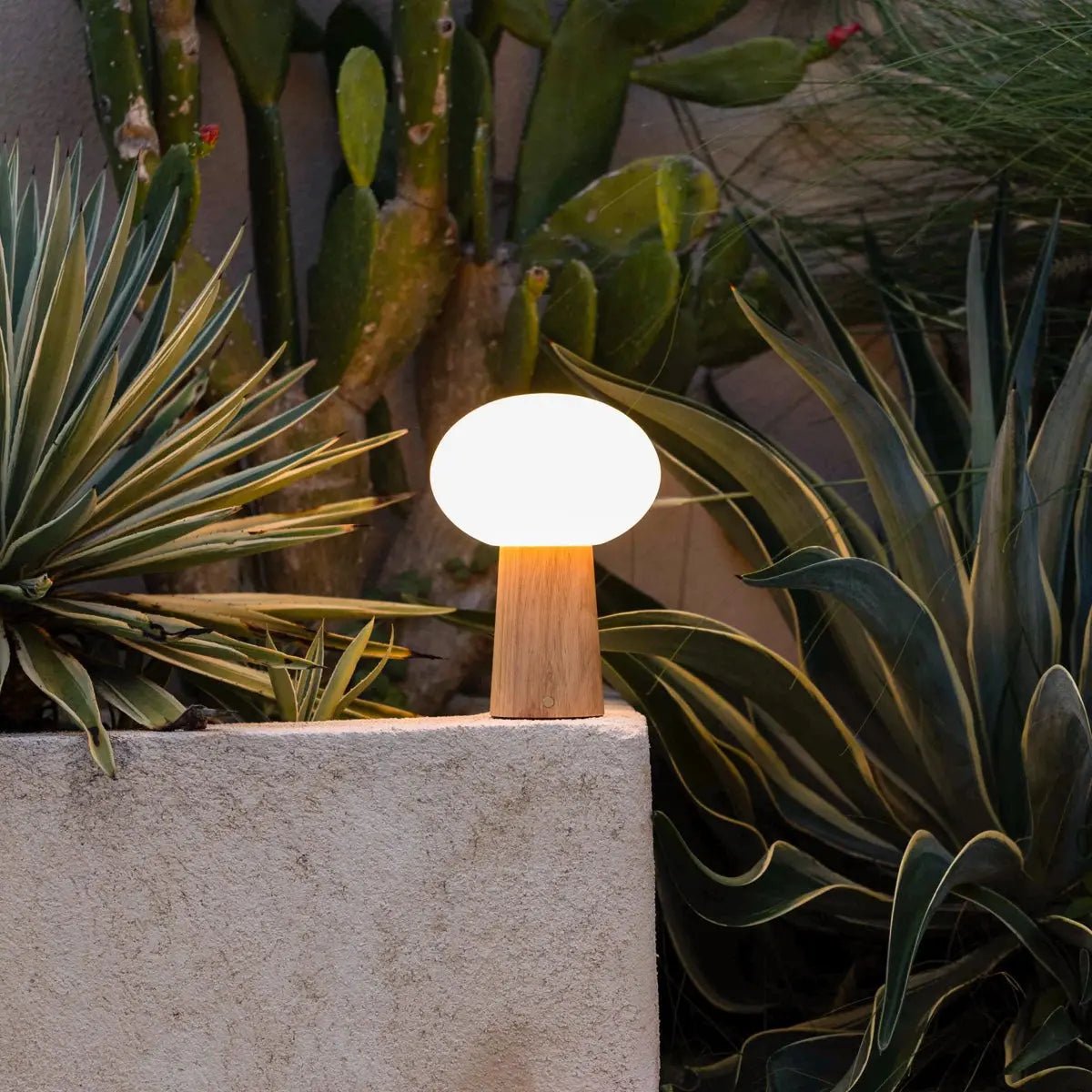 Max Lichtbruine Houten Snoerloze Tafellamp | Oplaadbaar, glas en duurzaam ontwerp