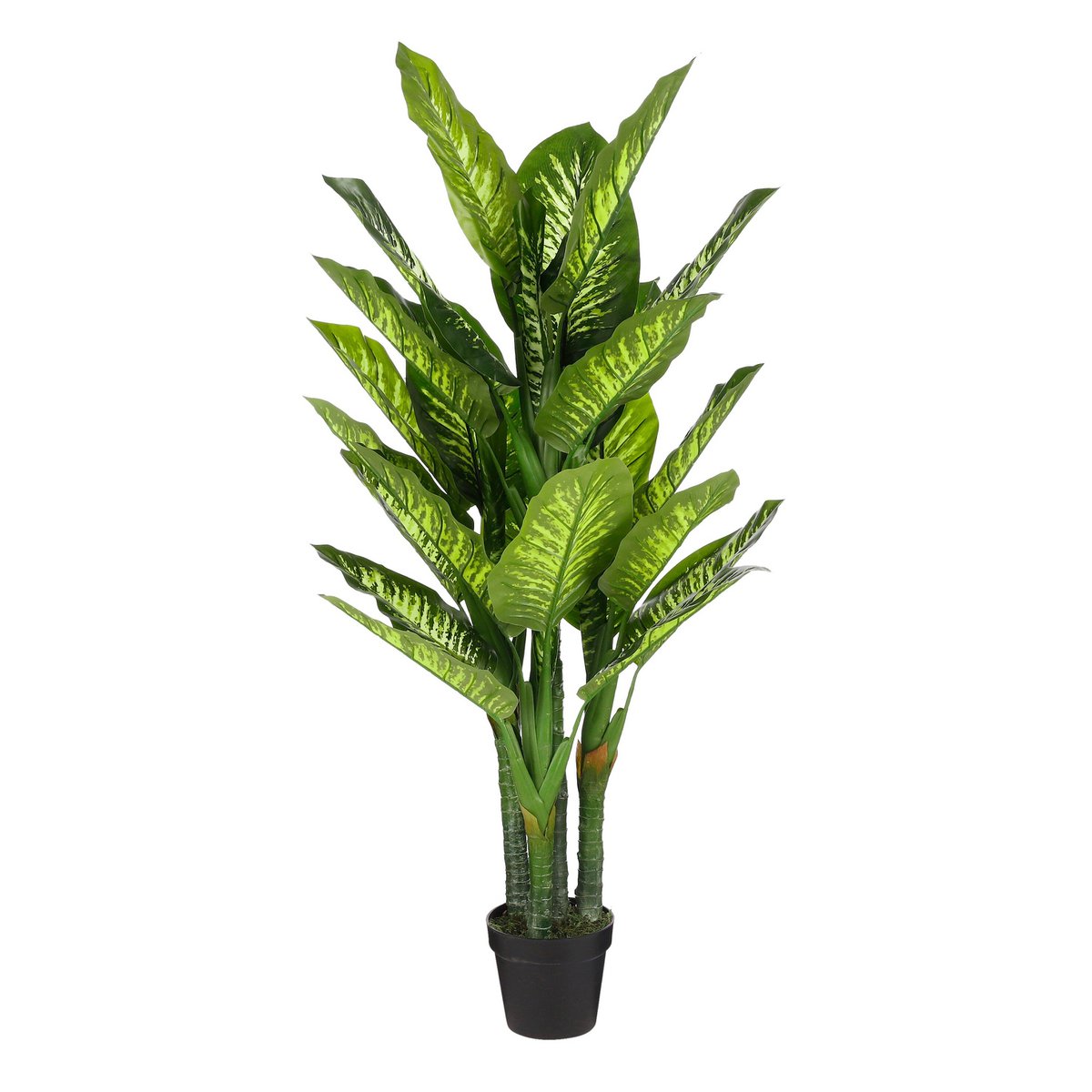 Kunstplant Dieffenbachia Groen