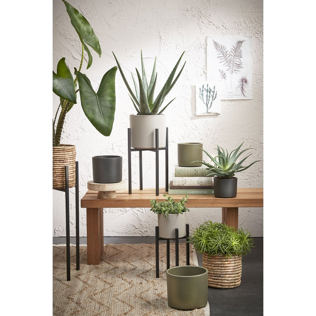 Plantenstandaard Ascot Zwart