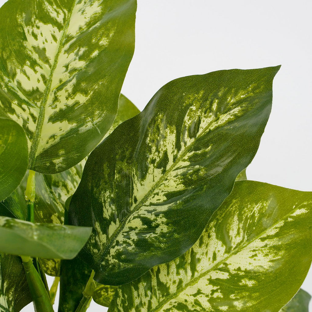 Kunstplant Dieffenbachia Groen