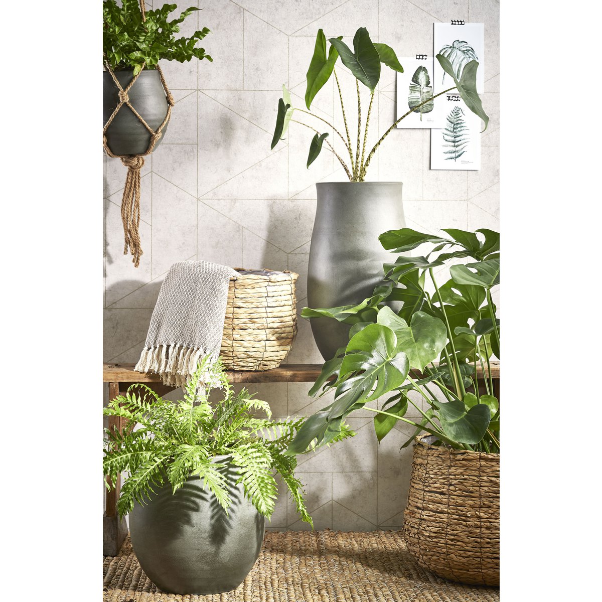 Plantenmand set Avalon Lichtbruin