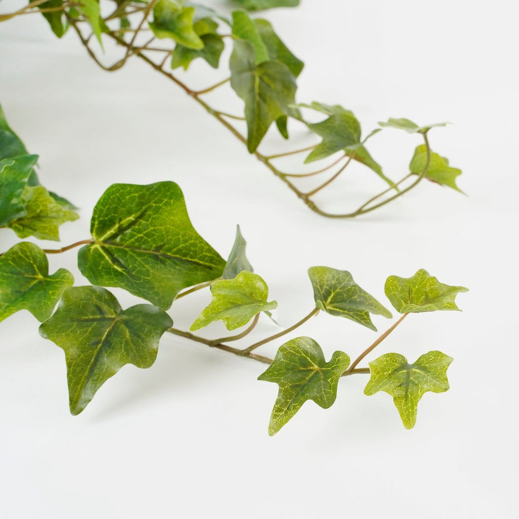 Kunst hangplant Ivy Groen