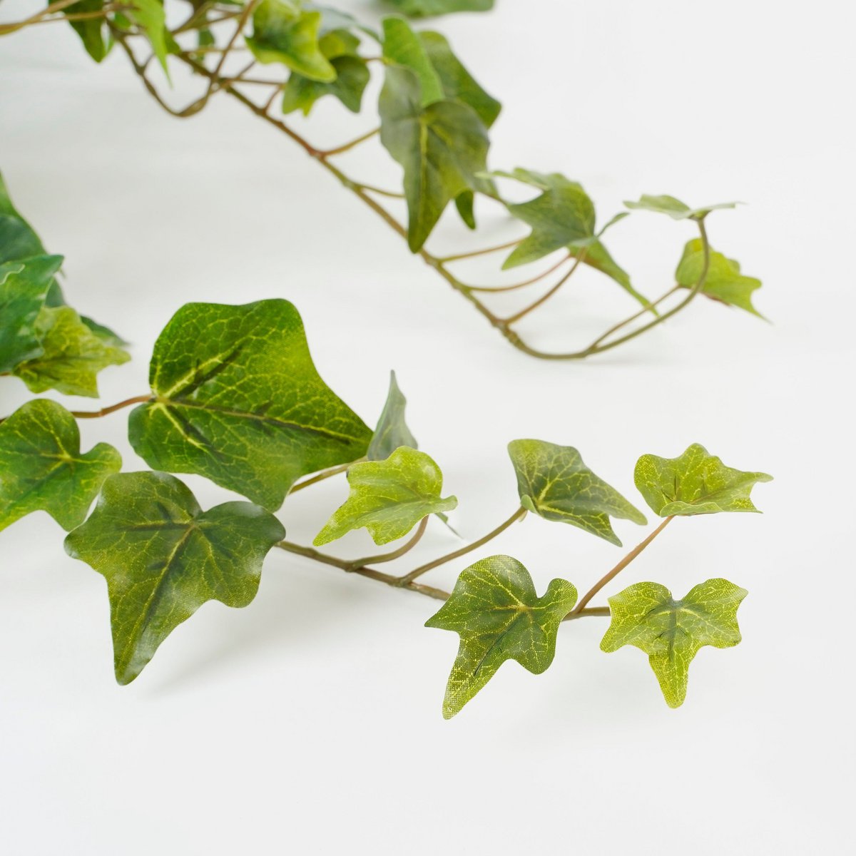Kunst hangplant Ivy Groen