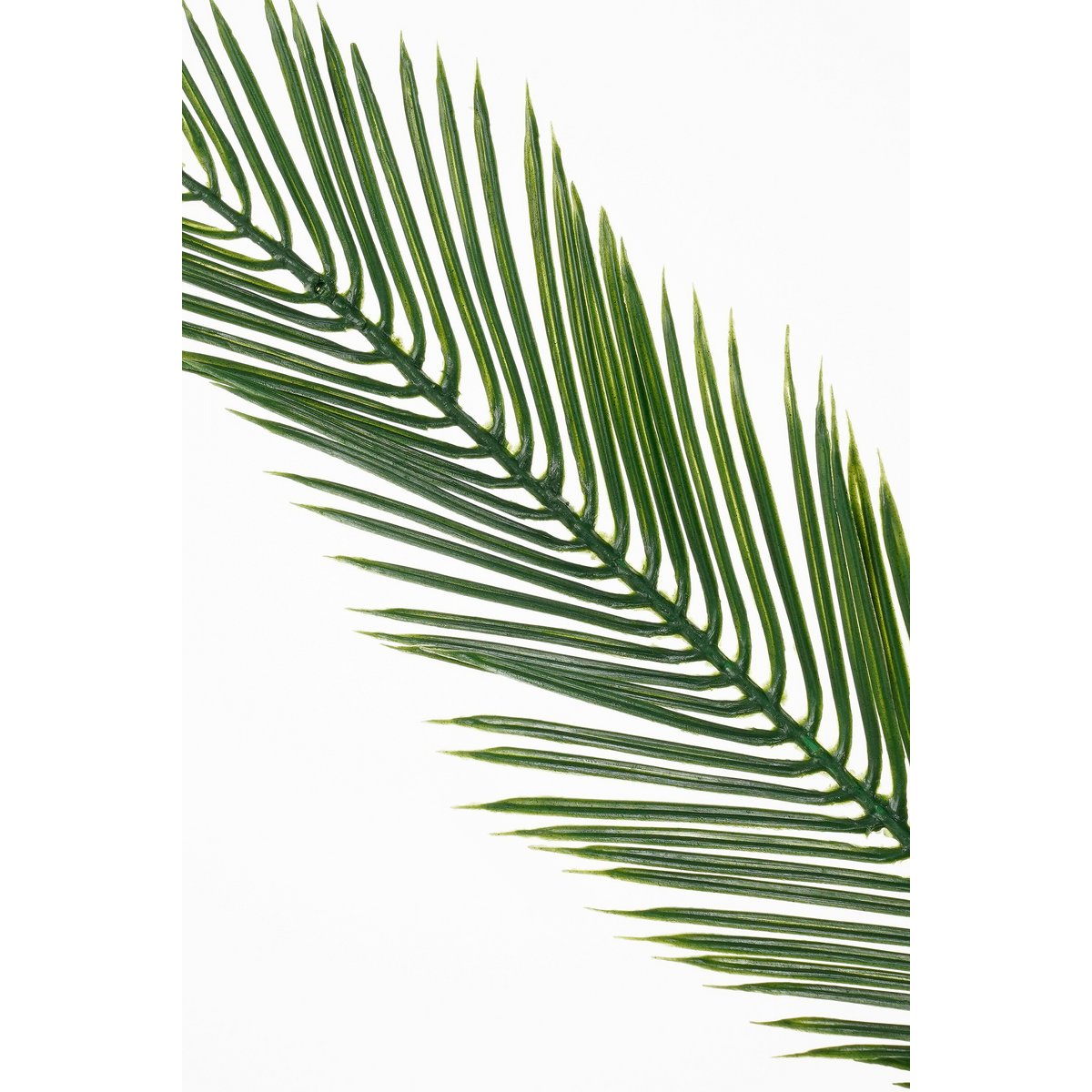 Kunstplant Cycas Groen
