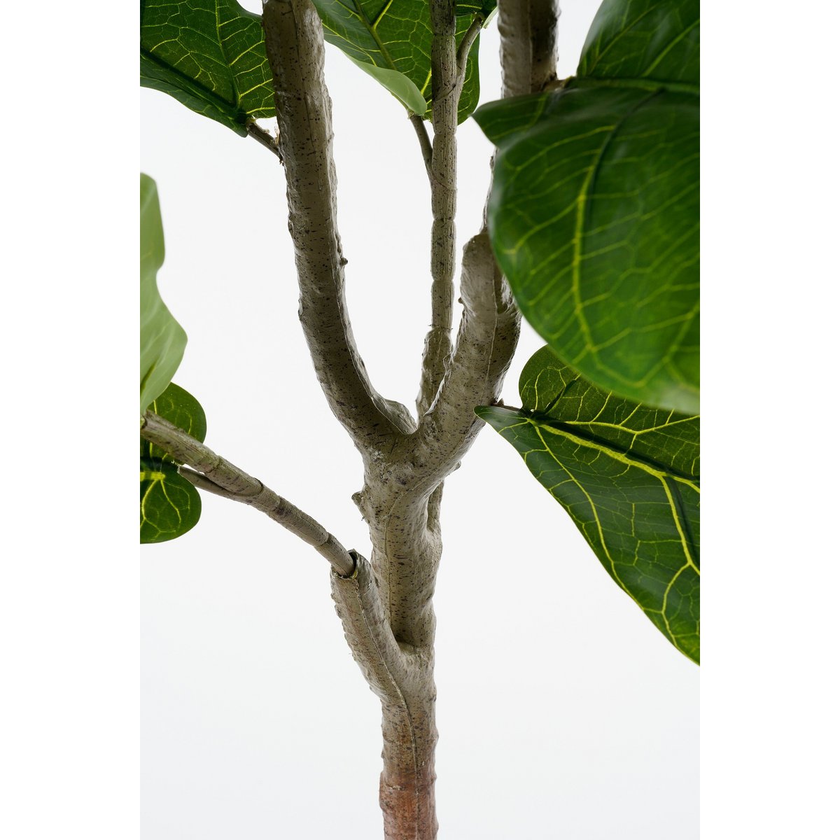Kunstplant Ficus Groen