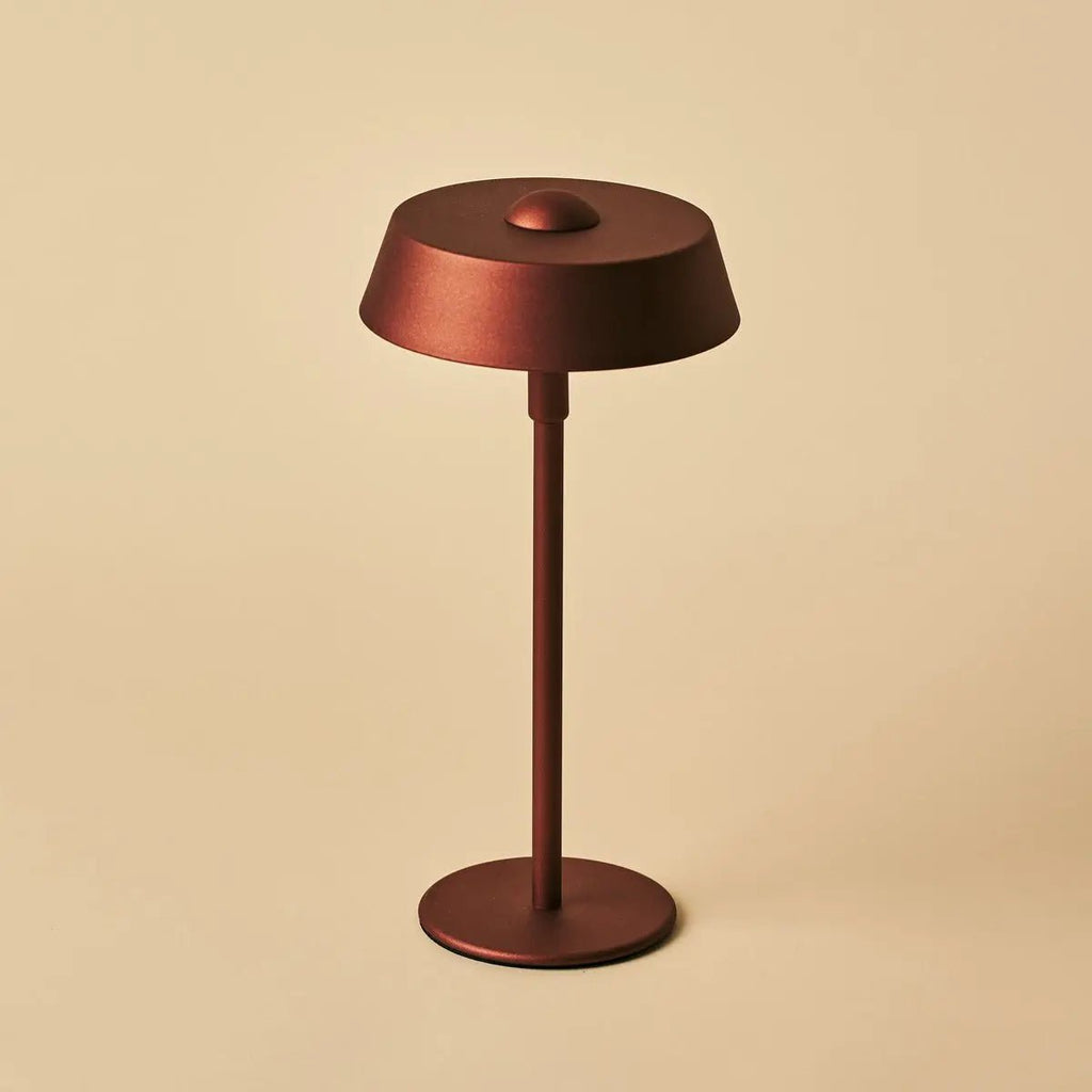 Luca Bronzen USB Oplaadbare Lamp | Minimalistisch, speels & dimbaar