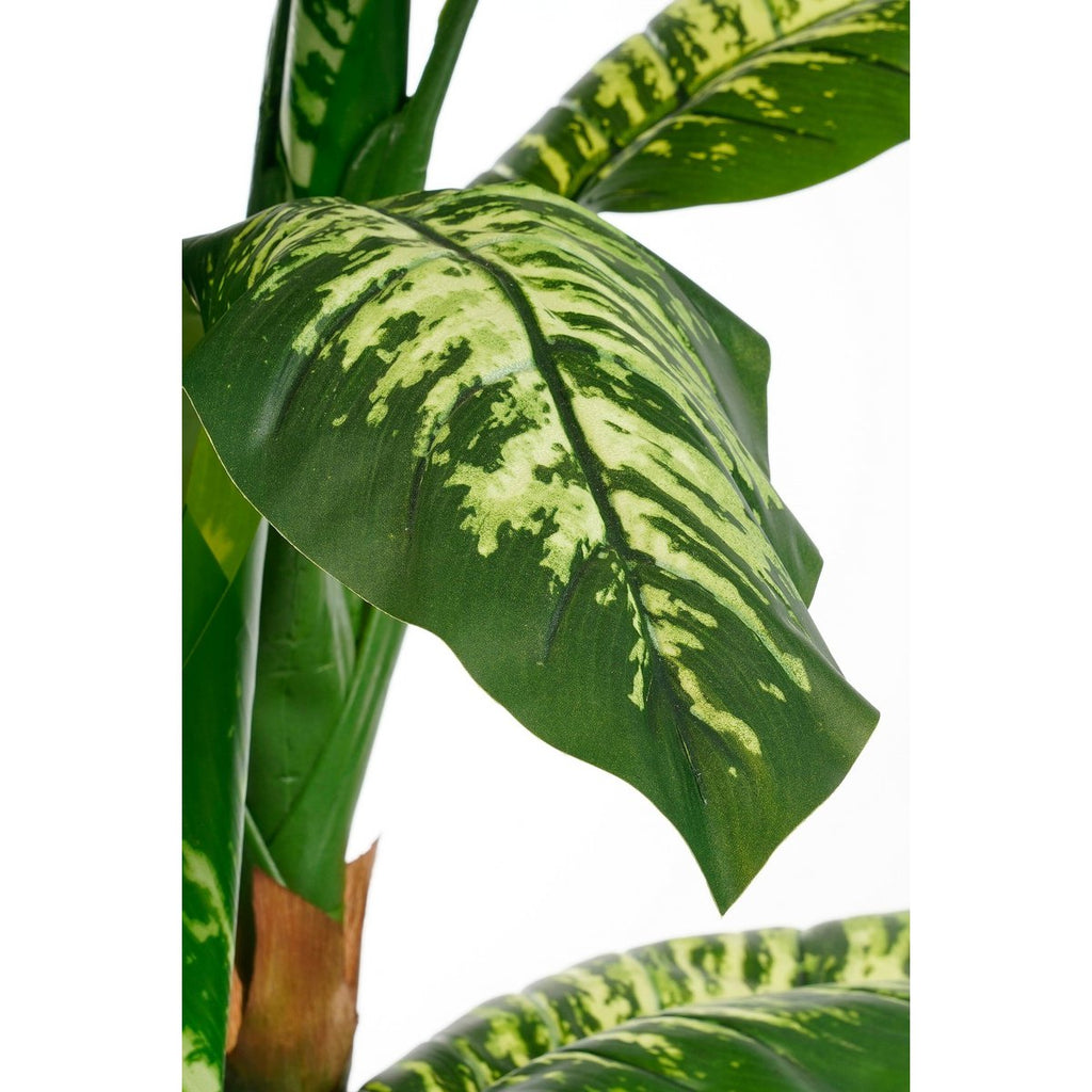 Kunstplant Dieffenbachia Groen