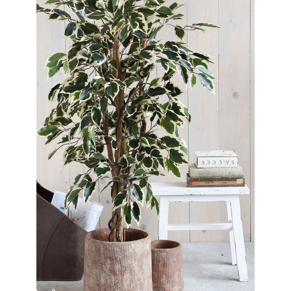 Kunstplant Ficus Groen