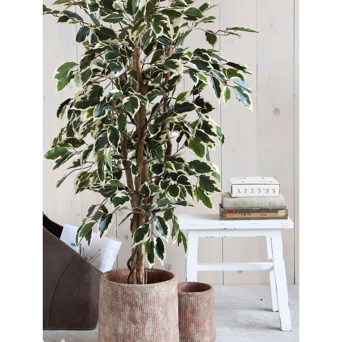 Kunstplant Ficus Groen