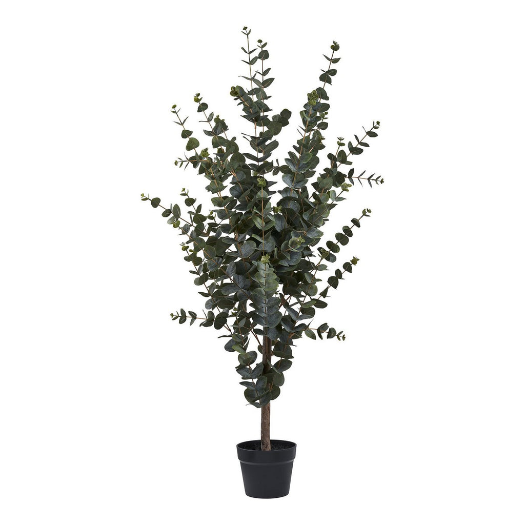Eucalyptusboom - Groen, PE-kunststof, polyester, draad, cement, 120 cm