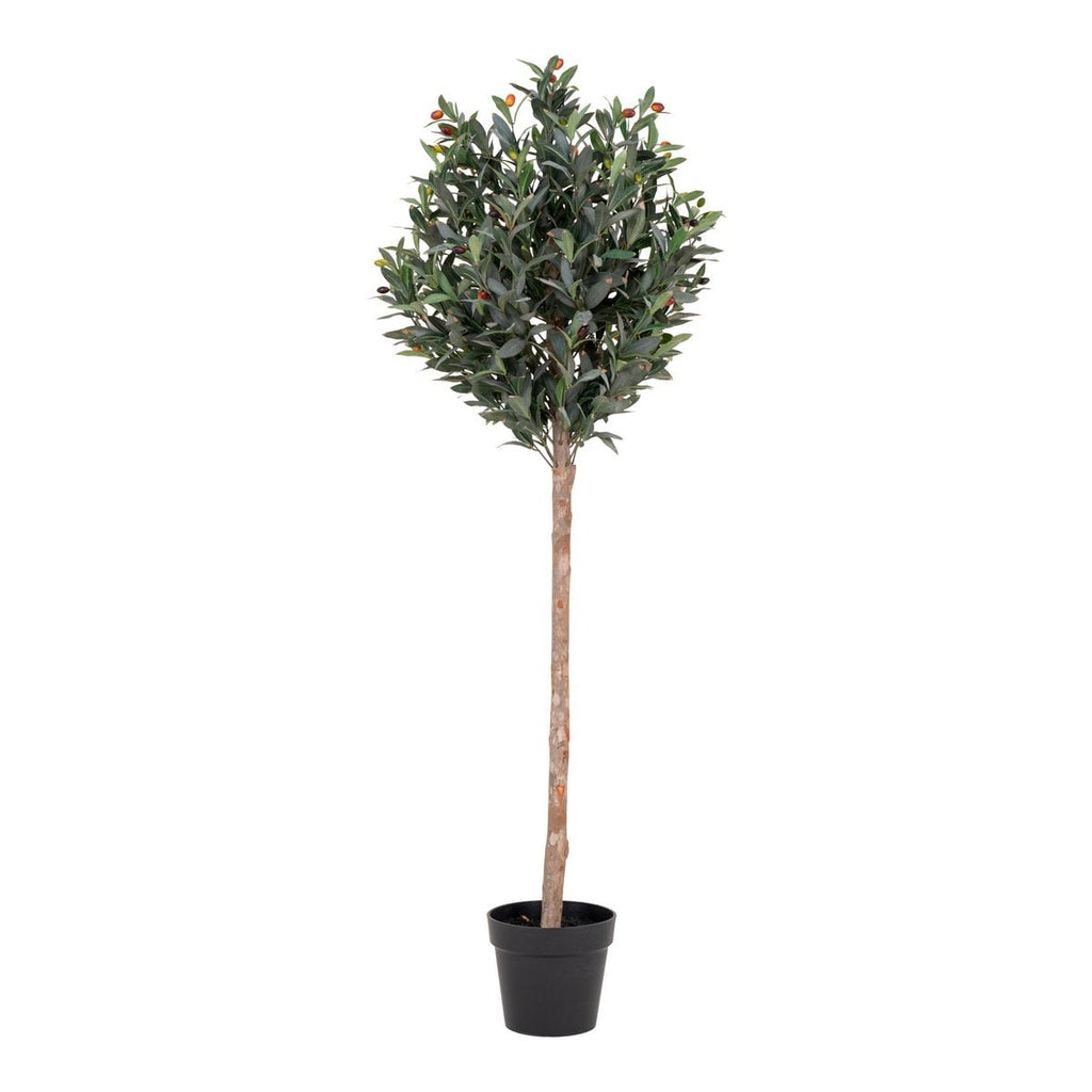 Olijfboom - Groen, PE kunststof/polyester, 58x58x150 cm