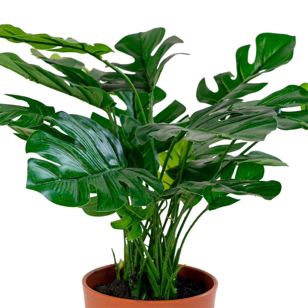 Monstera - Groen, PE-kunststof/polyester/draad/cement, 40x40x45 cm