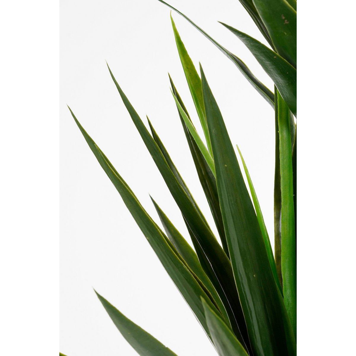 Kunstplant Yucca Crème