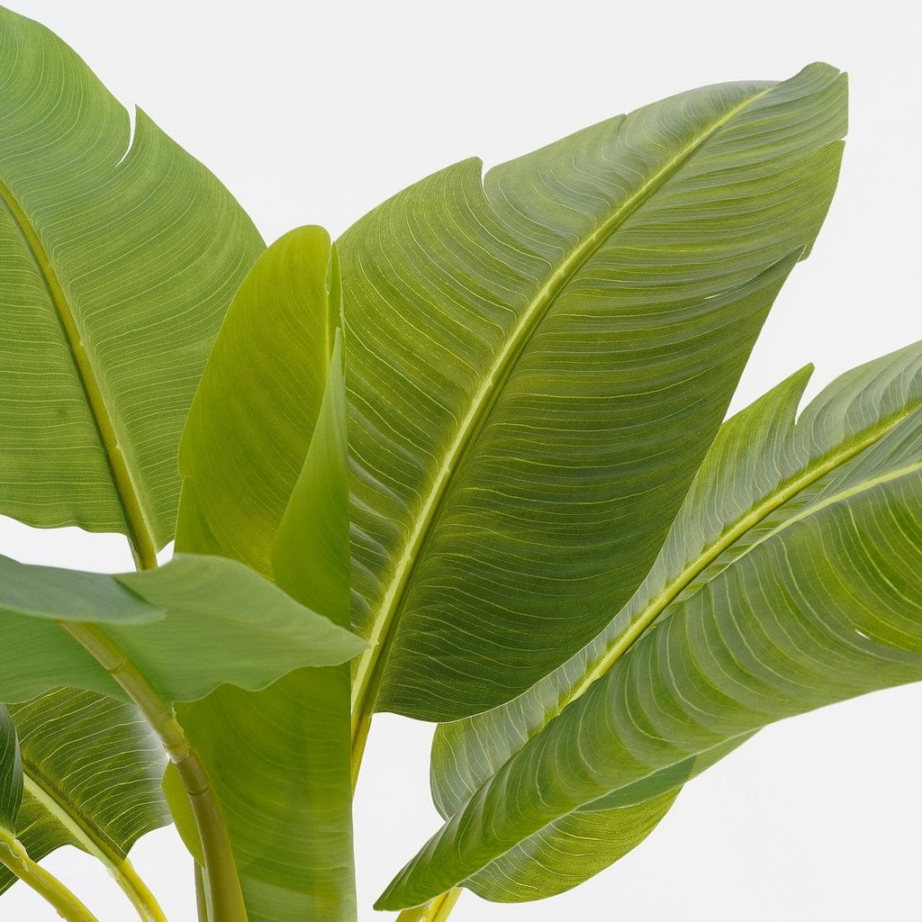 Kunstplant  Groen