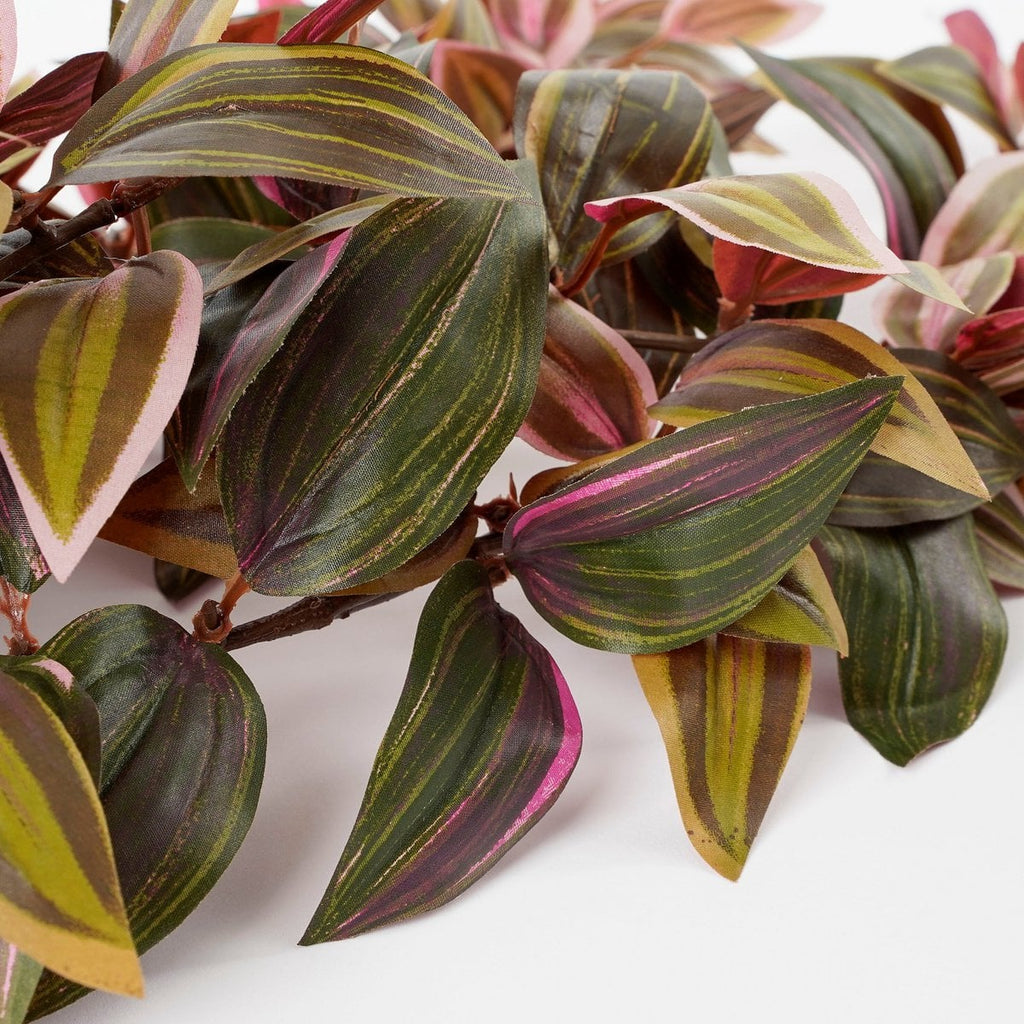 Kunst hangplant Tradescantia Donkerrood