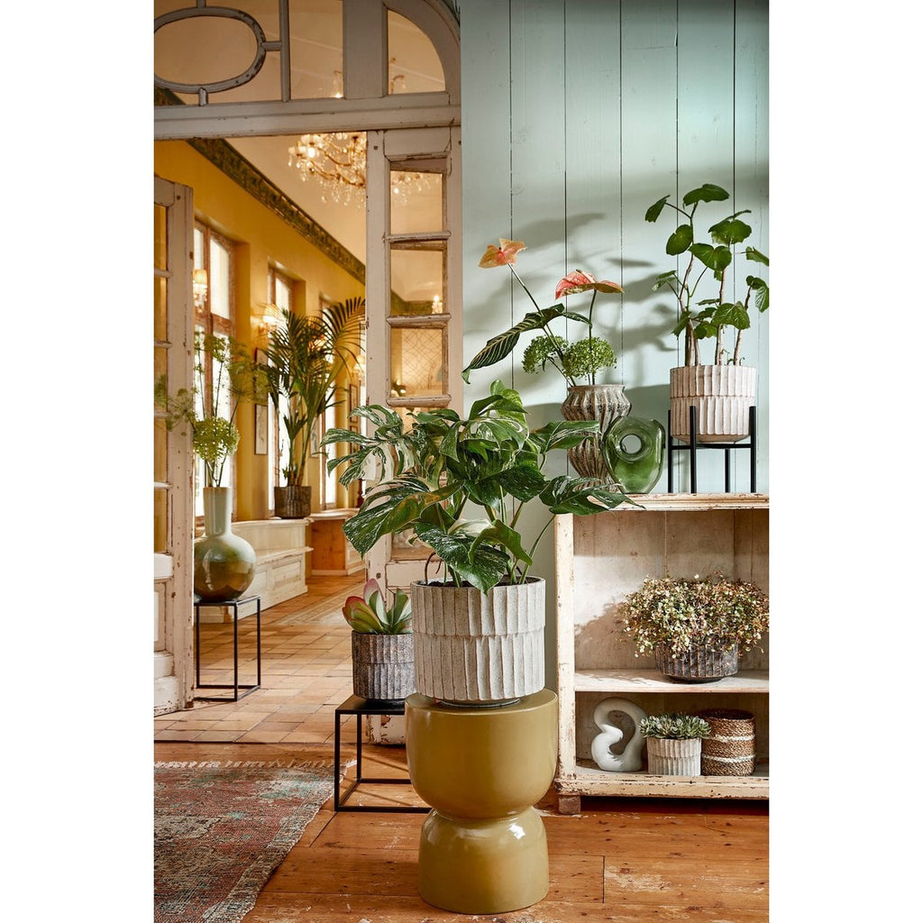 Plantenstandaard Ascot Zwart