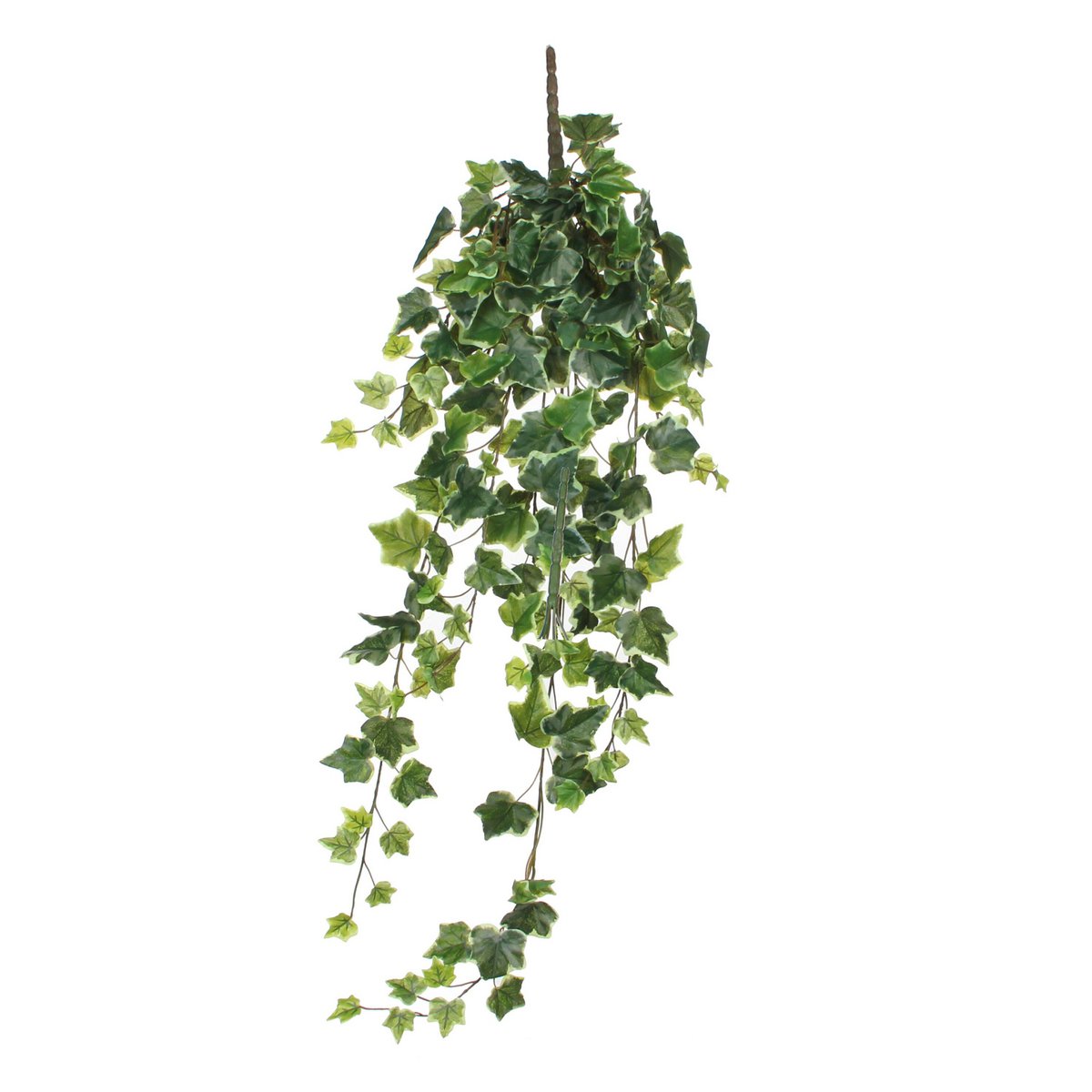 Kunst hangplant Ivy Groen