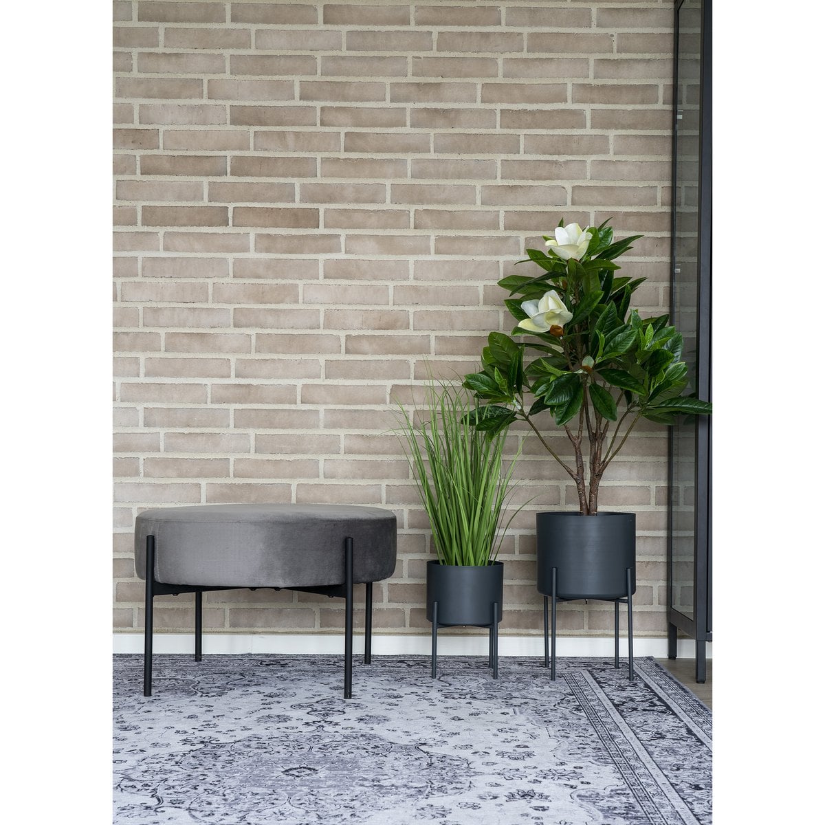 Havana Vloerkleed - Zwart/Wit, Chenille Polyester, 160x230 cm