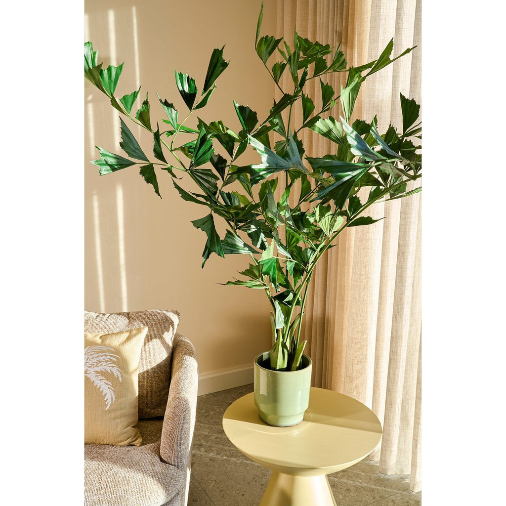 Kunstplant Fishtail Groen