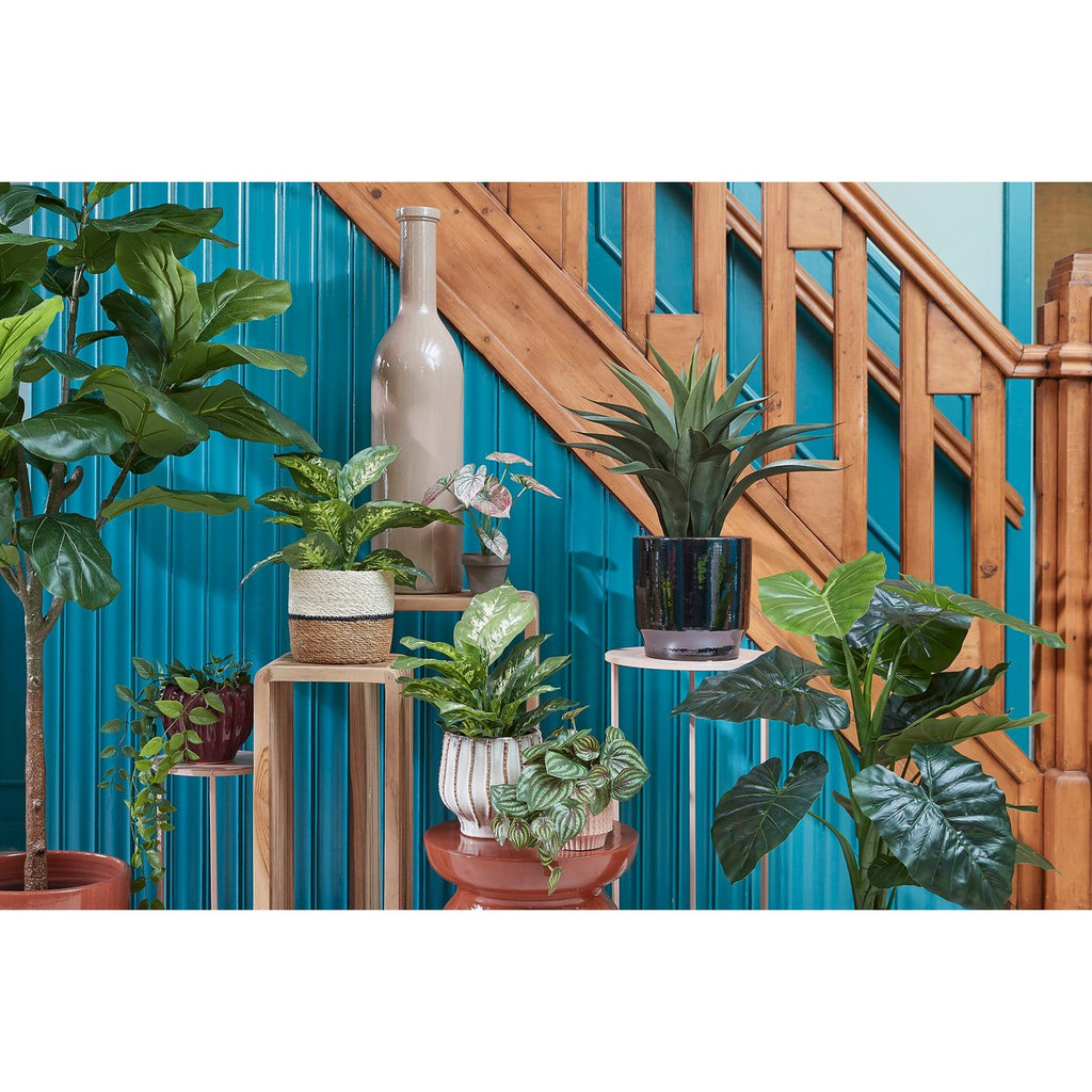 Kunstplant Dieffenbachia Groen