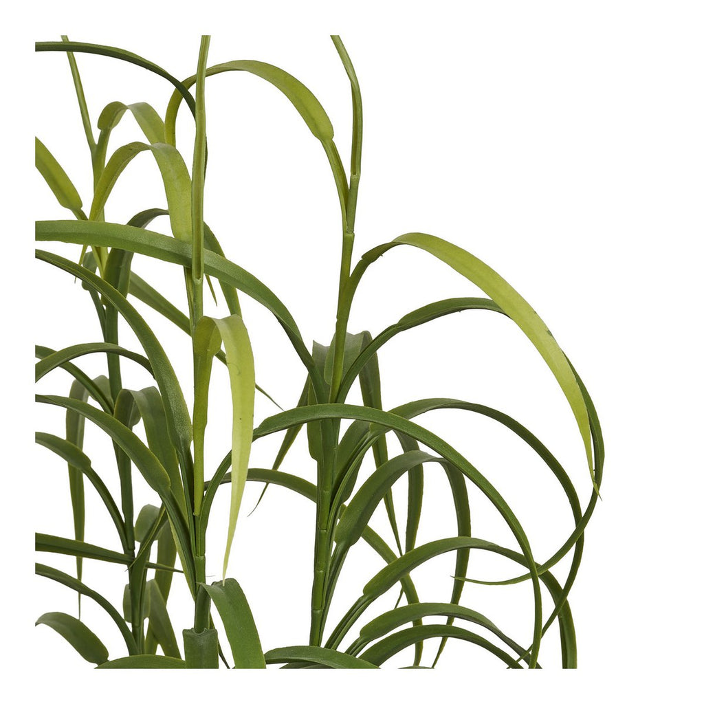 Grasplant, groen, H:68 cm
