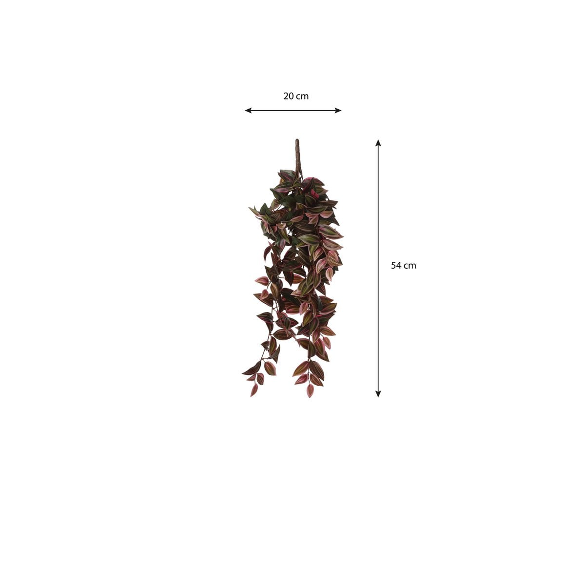 Kunst hangplant Tradescantia Donkerrood