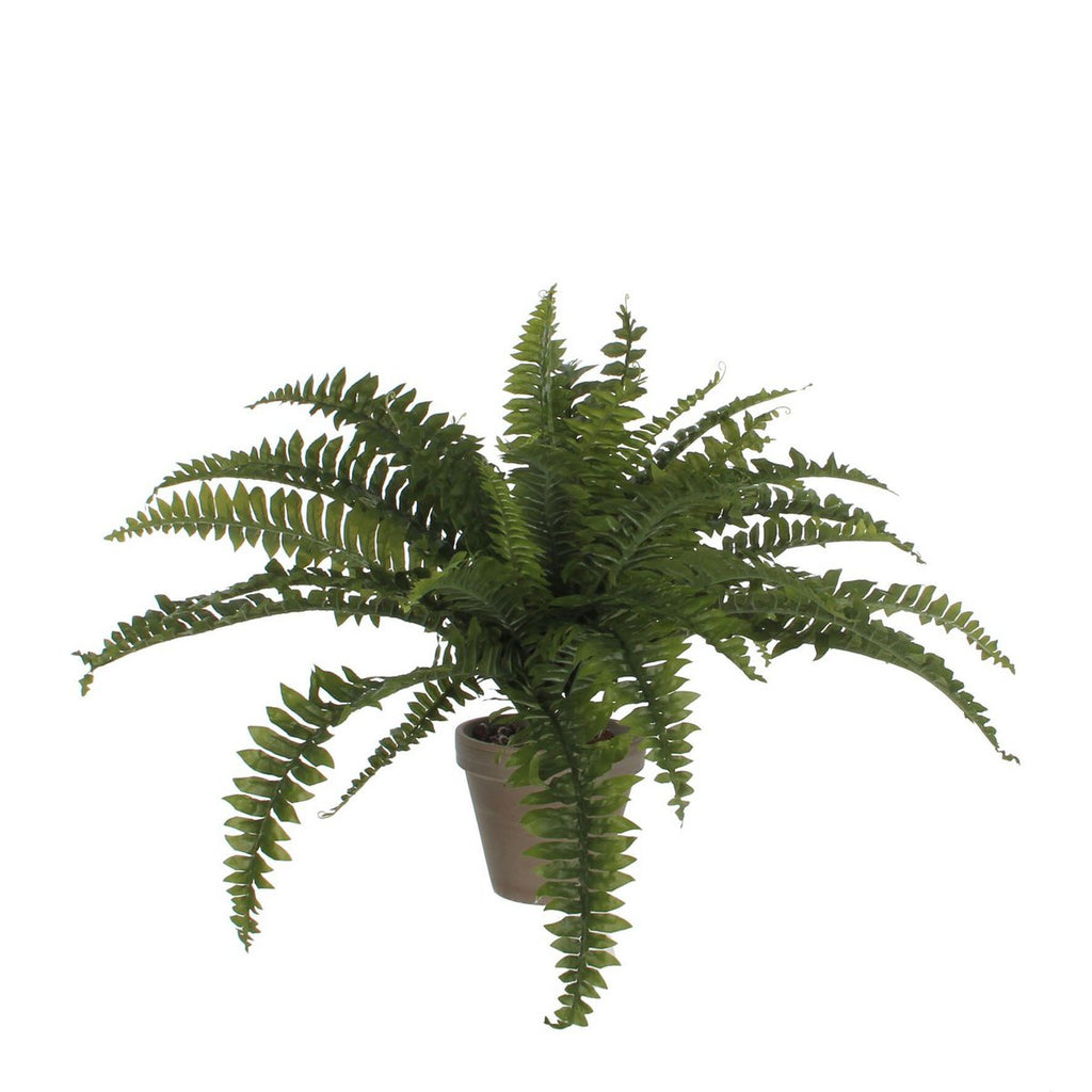 Kunstplant Fern Groen