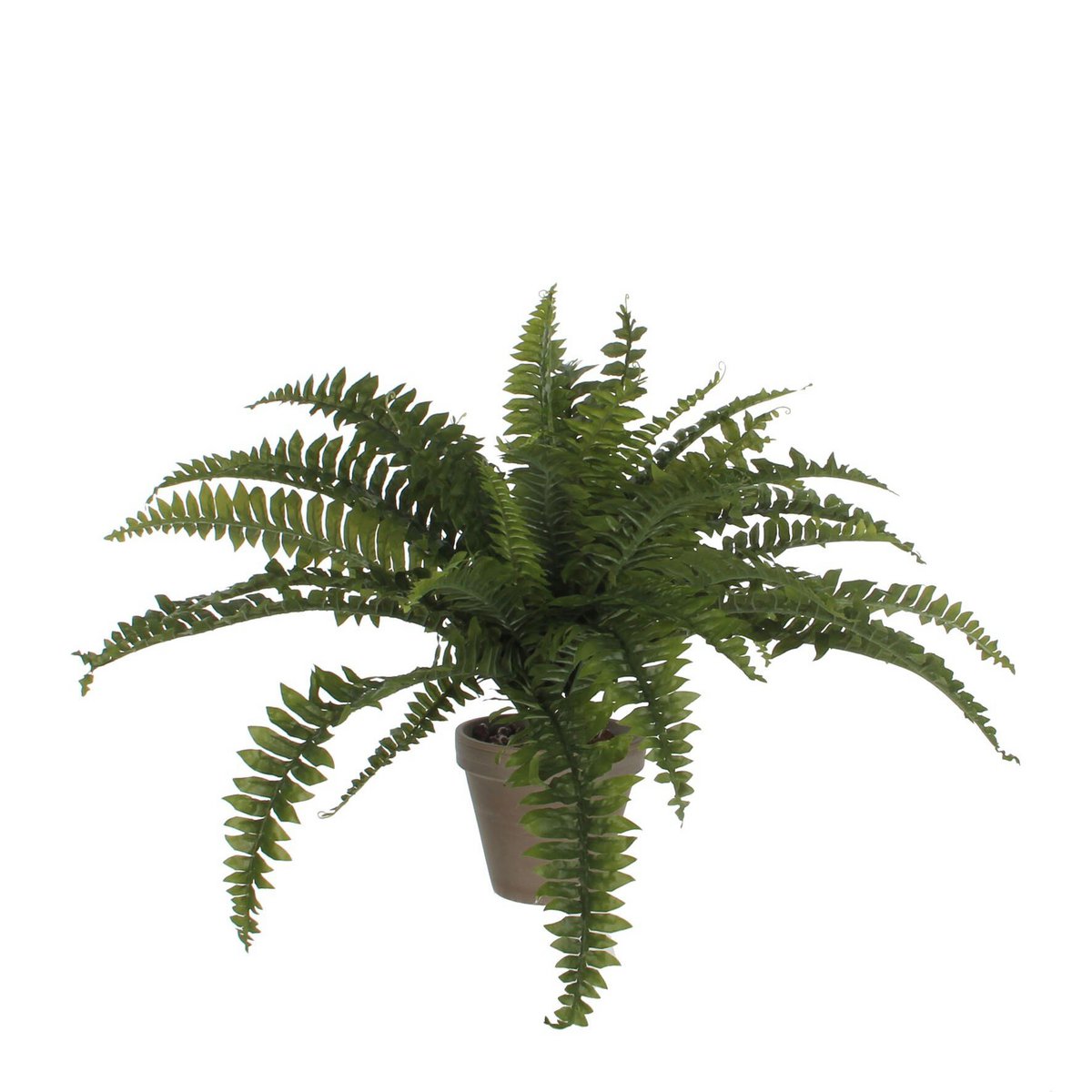 Kunstplant Fern Groen
