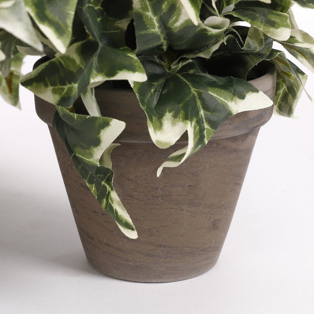 Kunst hangplant Ivy Groen