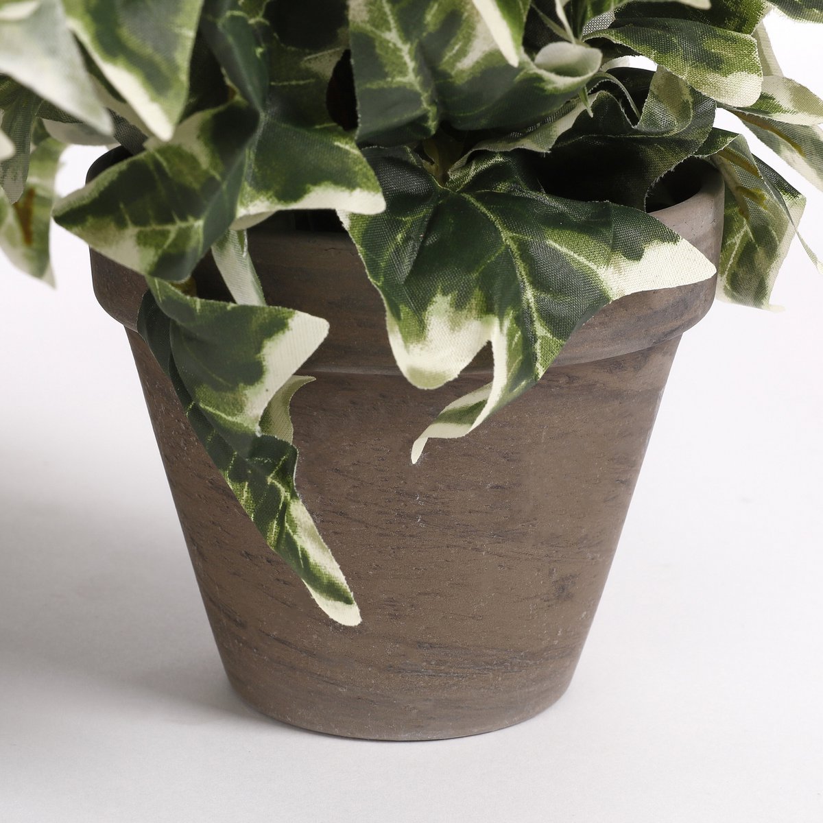 Kunst hangplant Ivy Groen