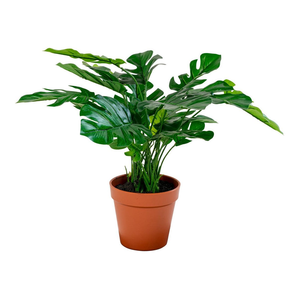 Monstera - Groen, PE-kunststof/polyester/draad/cement, 40x40x45 cm