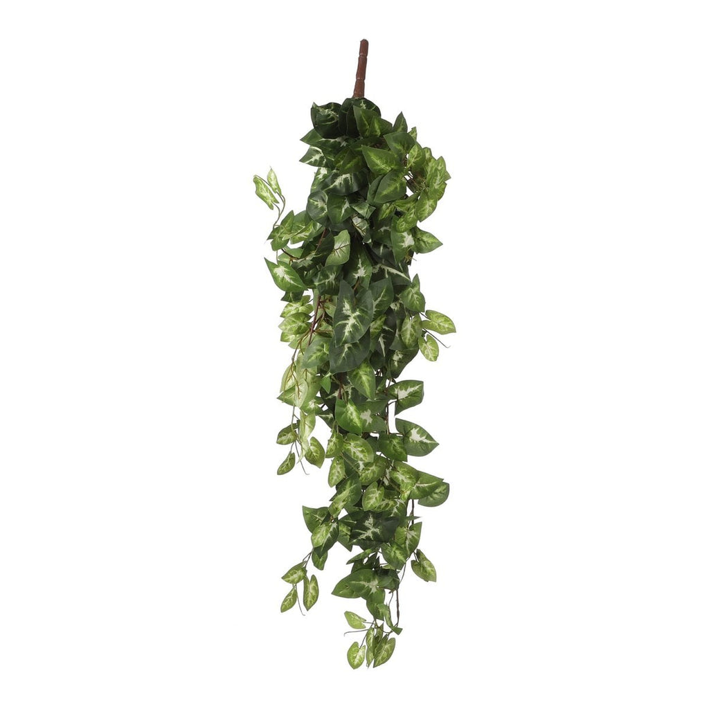 Kunst hangplant Fittonia Groen