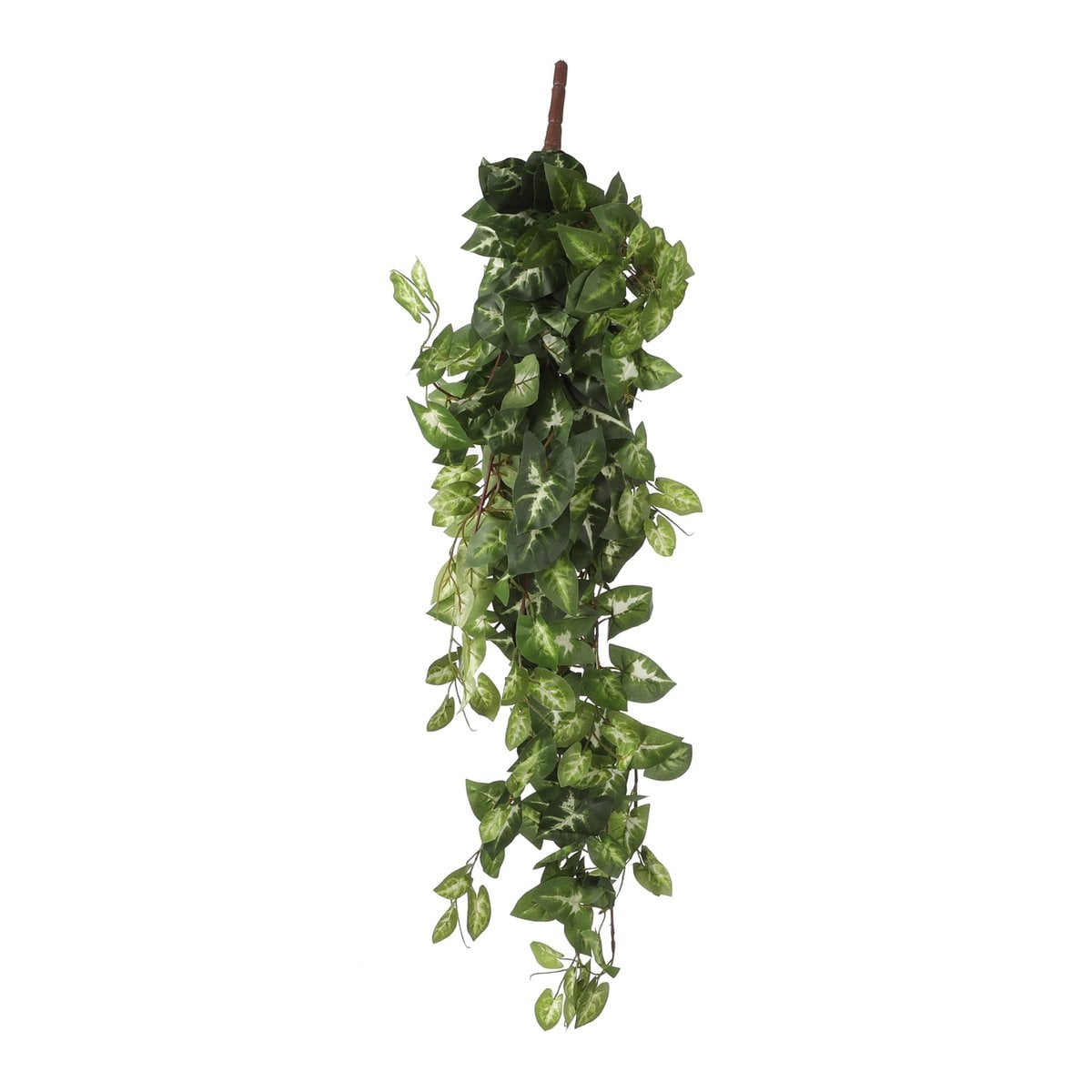 Kunst hangplant Fittonia Groen