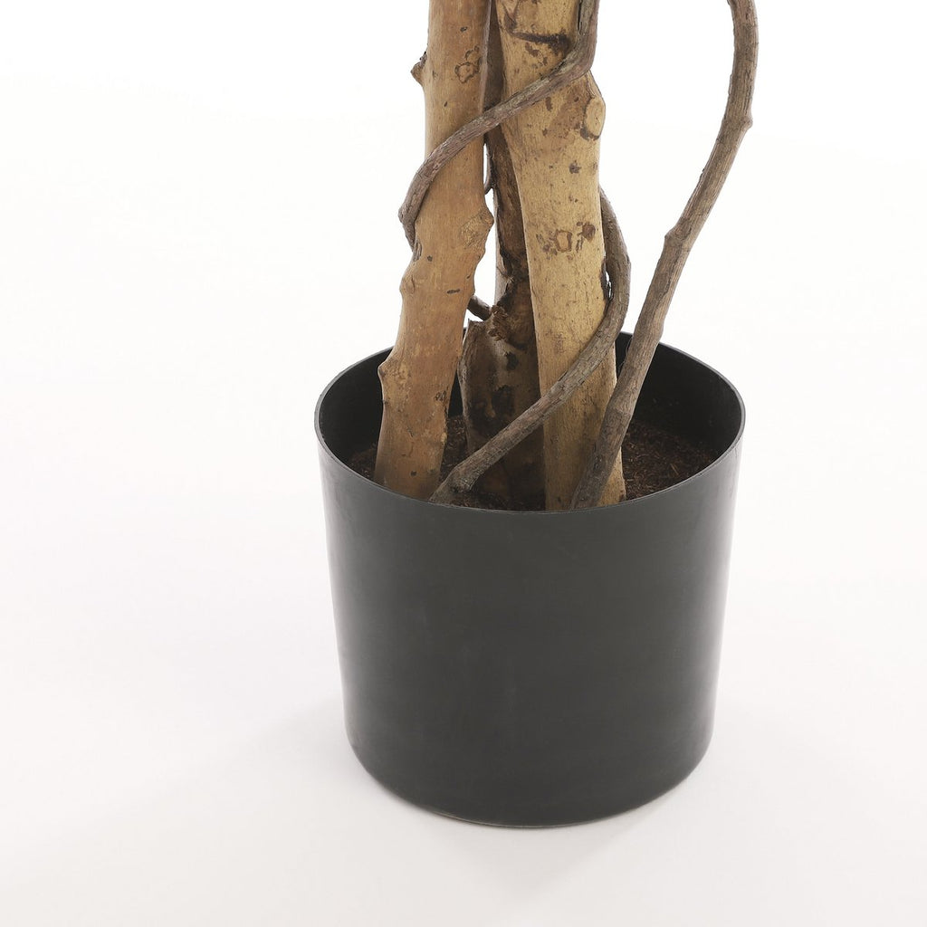 Kunstplant Ficus Groen
